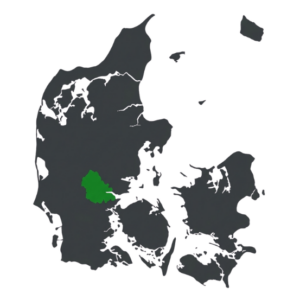 i udfører tømrerarbejd i Vejle