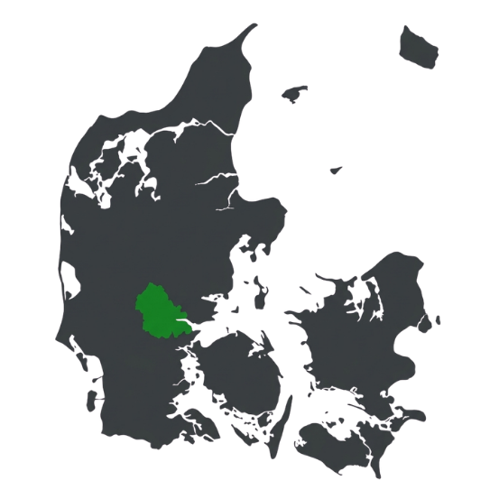 i udfører tømrerarbejd i Vejle